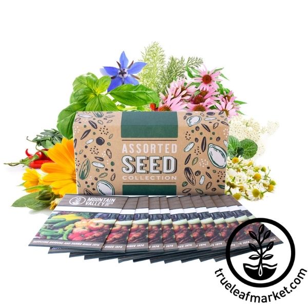 Delux Culinary Herb Assortment