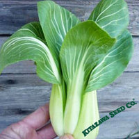 Organic Baby Pak Choi Seeds