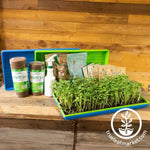 Heartway Farms Microgreens Starter Kits Deluxe