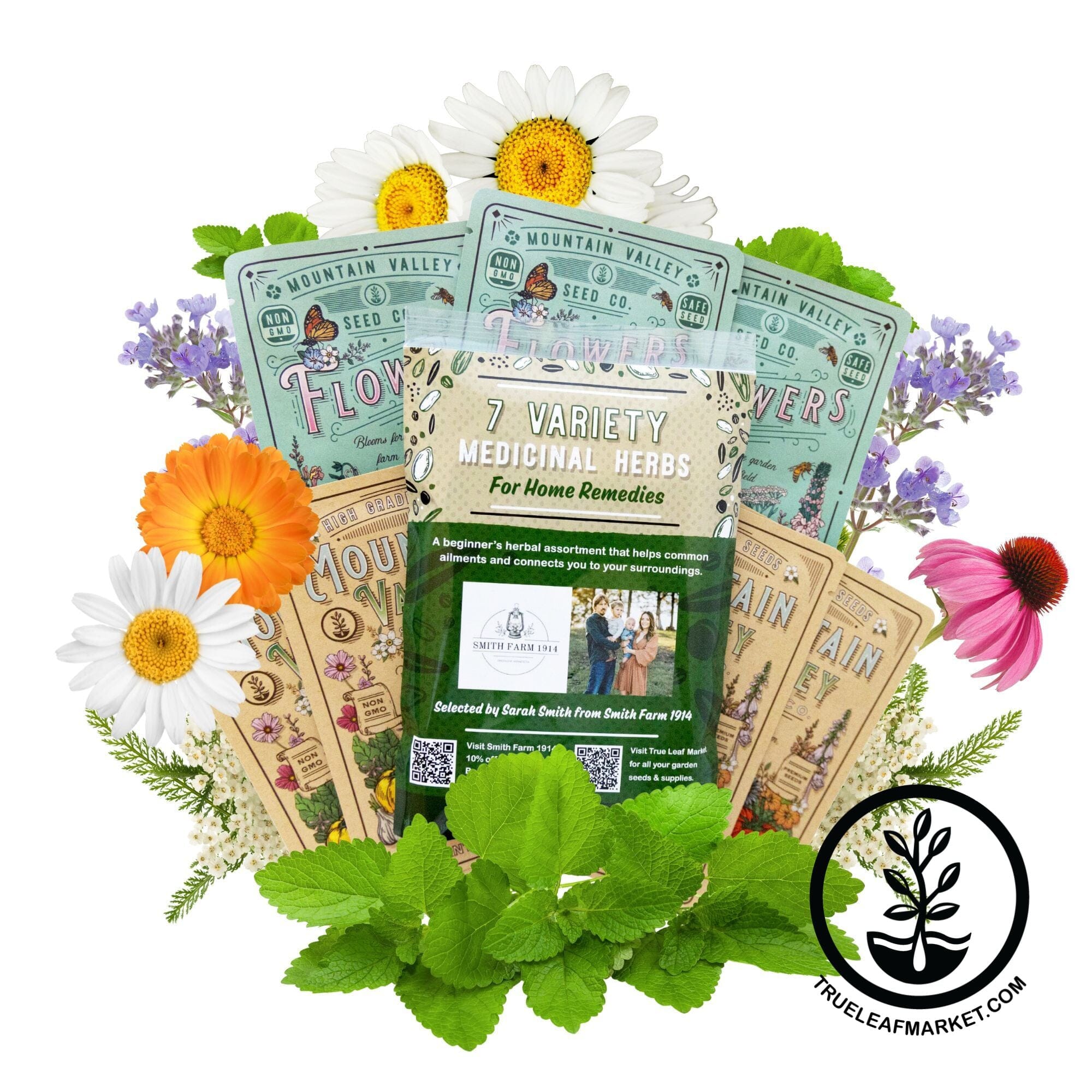 herbs for home remedies seed assortment
