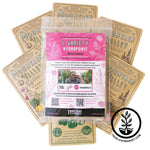 6 Variety Hydroponic Vegetable Collection packets