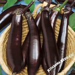 Eggplant Seeds - Japanese Pickling