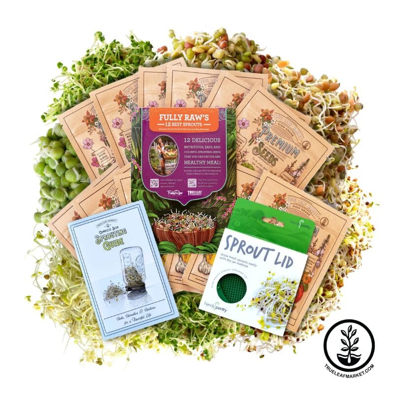 fully raw's 12 best sprouts seed collection