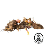 Valentine Rhubarb Crown 4 Bare Roots