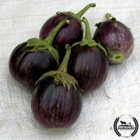 5 Purple Thai Round eggplants