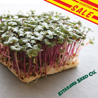 Hong vit radish  microgreens with overstock sale banner