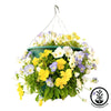 Bloom Master Hanging Basket Kit - Pansy