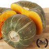 Squash Seeds - Winter - Burgess Buttercup Bush (Organic)