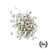 Bean Bush Jade seed white background 