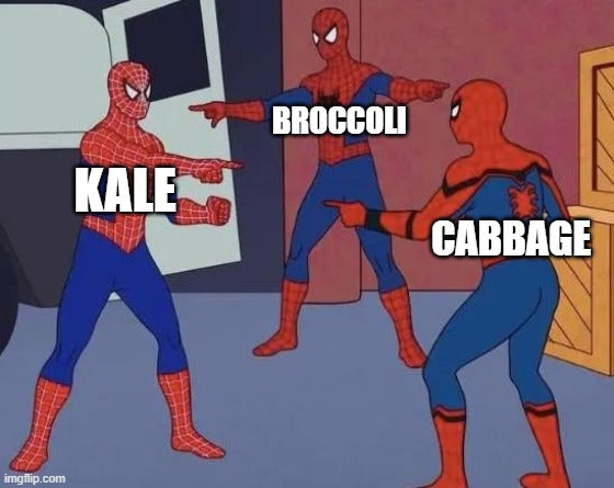 3 brassicas meet meme