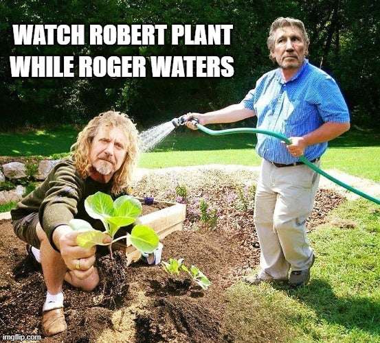 Robert Plants, Roger Waters Meme