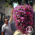 Man Standing Next To 6 Gallon Hanging Basket Grown