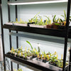 Grow Light On Grow Tower