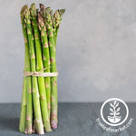 Asparagus Crowns - Mary Washington