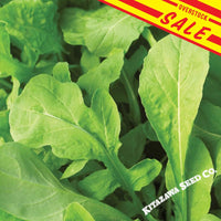 Astro-Arugula-vegetable-overstock-sale