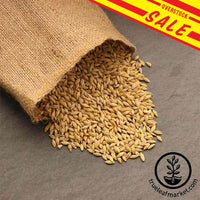 Barley Organic Bulk Grains Foods Sale.