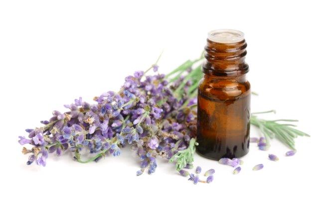 Lavender essential oils