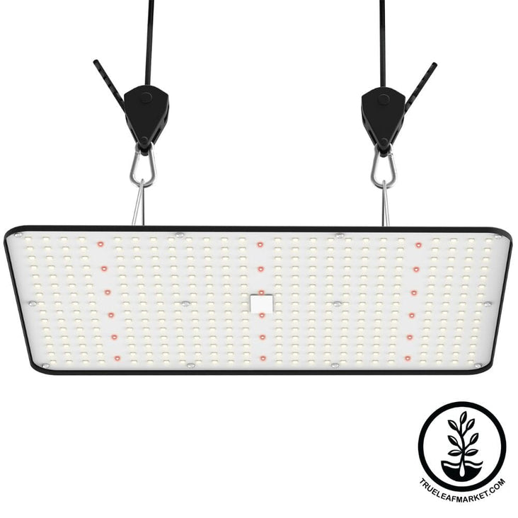 CT-11 Grow light