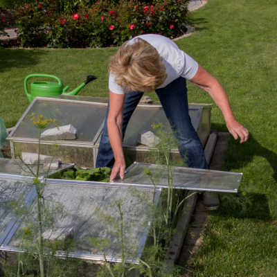 opening cold frame