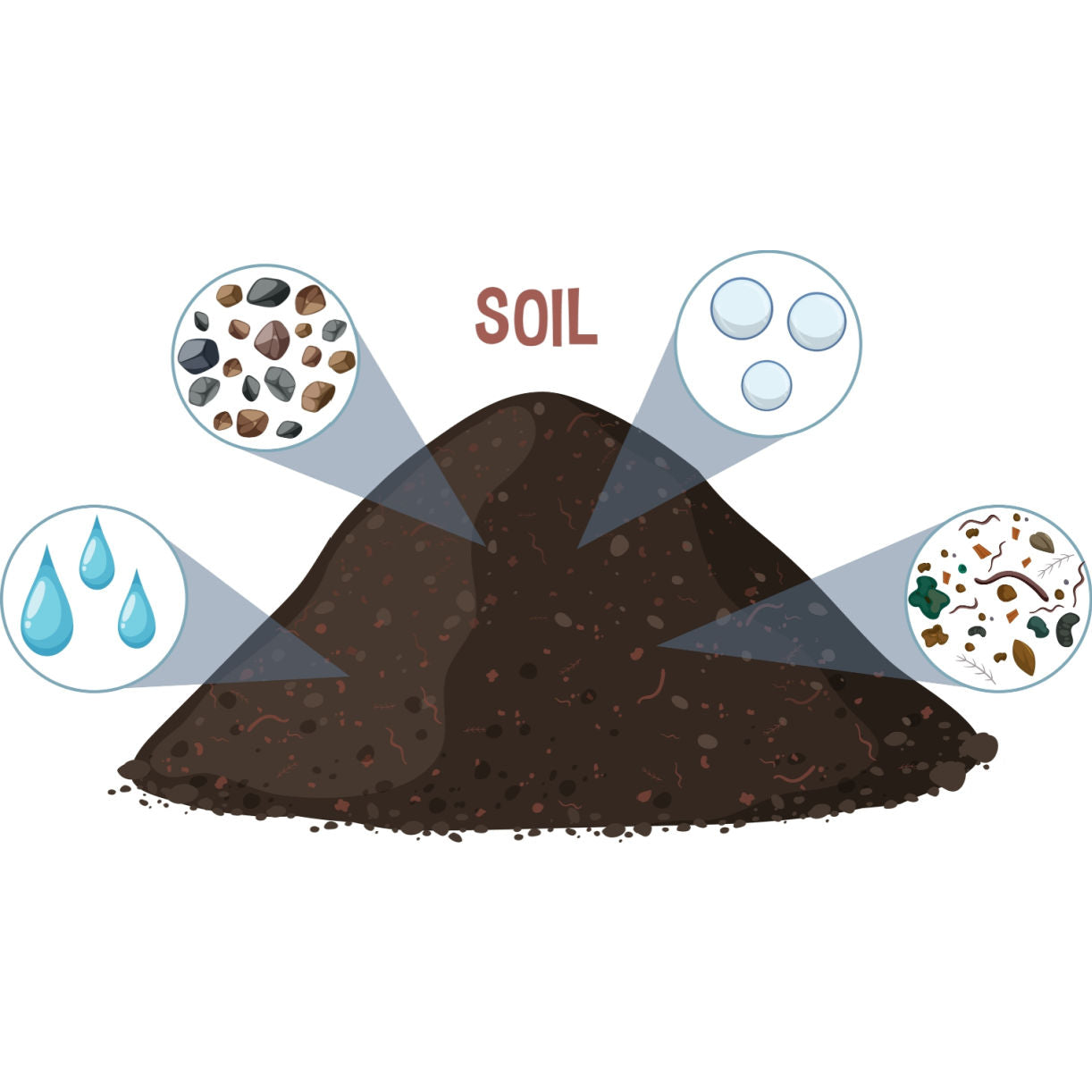 soil components graphic