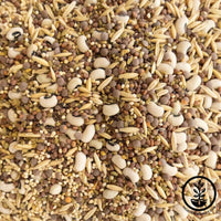 No-Till Forage Friendly Cover Crop Mix Seeds