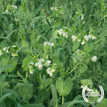 Organic Oats and Peas Cover Crop Seed Mix Green Field