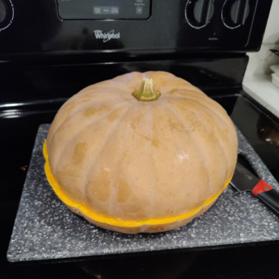 culinary pumpkin cut in half