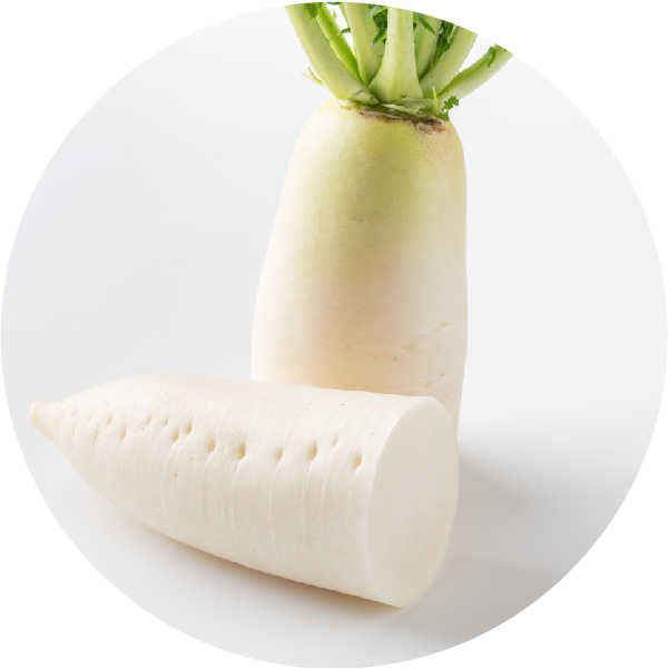 daikon radish