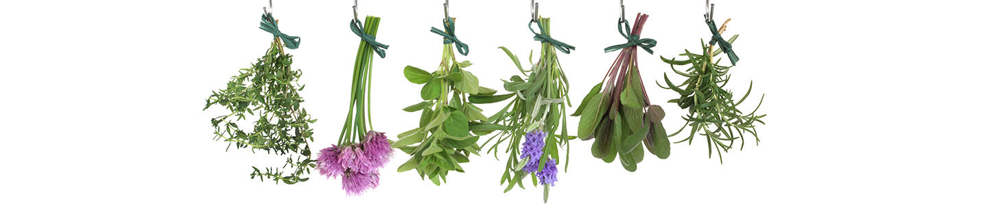 Drying rosemary