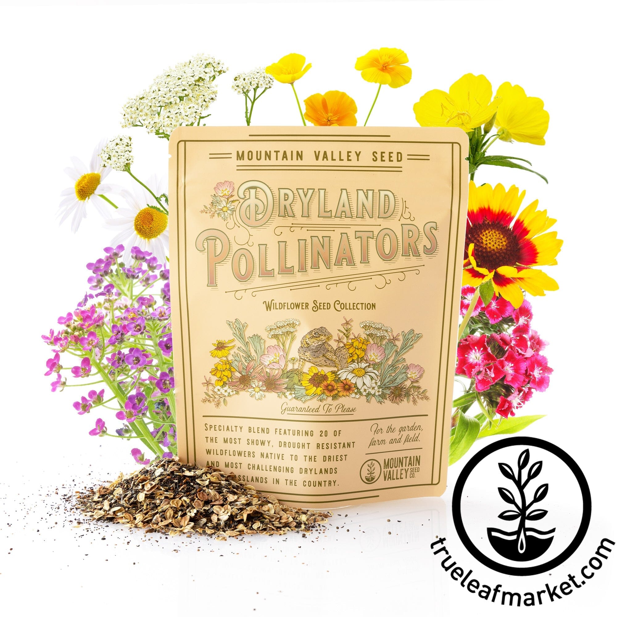 Mountain Garland Wildflower Seeds