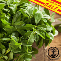 Fenugreek Organic Sale