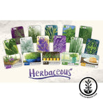 Garden Themed Card Game - Herbaceous Cards