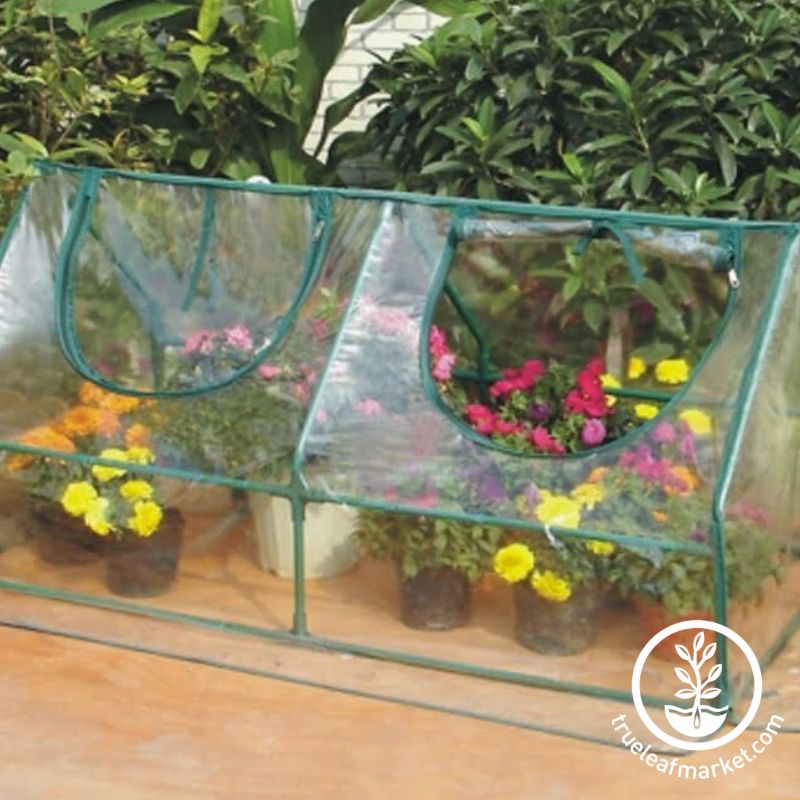greenhouse cold frame cover