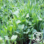 Garden Cover Crop Mix