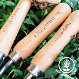 True Leaf Market Tool Set Handles With Branding