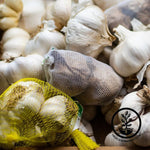 Garlic Bulbs - Hardneck - Purple Glazer Bulb Pack