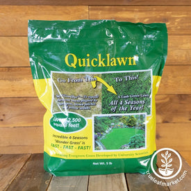 Grass Seeds - Quicklawn 5lb bag