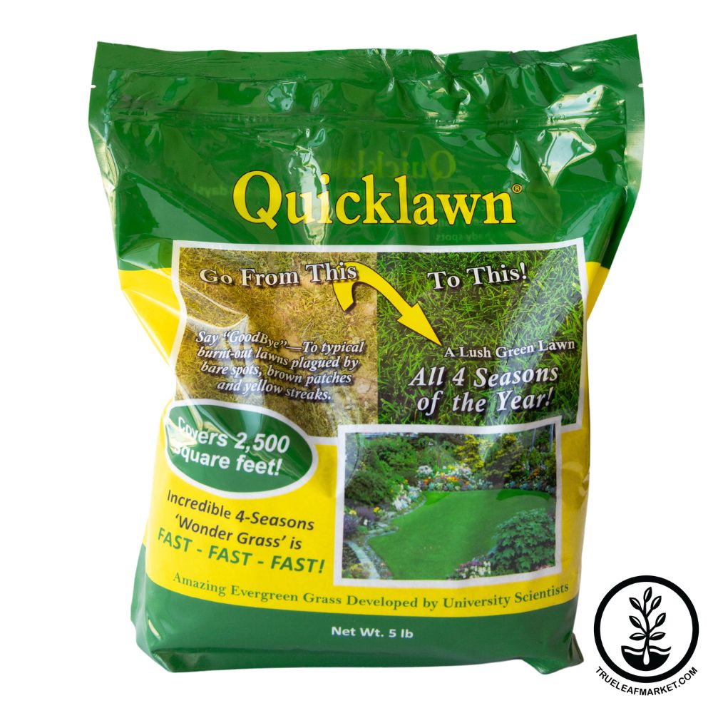 quicklawn grass seeds