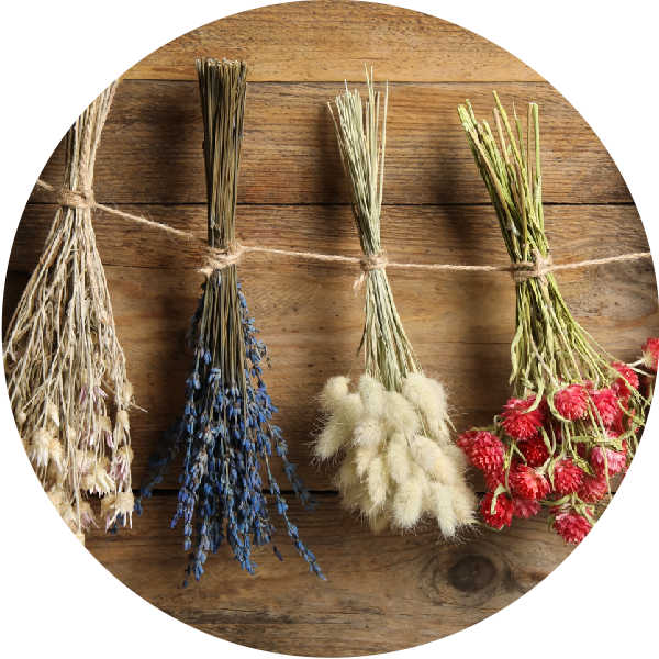 Hanging Lavender Bunch