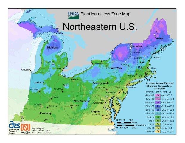 USDA Hardines Zone 4