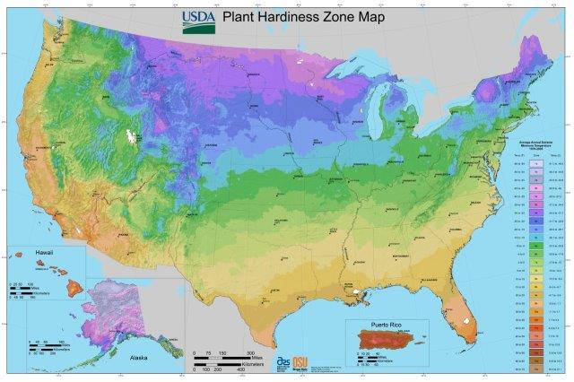 USDA Hardiness Zones 6-7