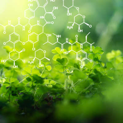 plant background with biochemistry structure overlay