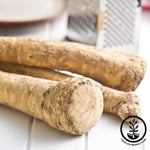 Horseradish Root