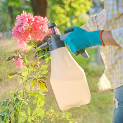 horticulture oil pest control organic garden spray