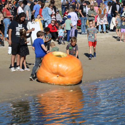 Kid looking into Giant Pumpkin