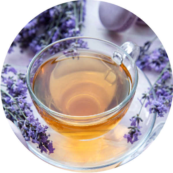 Lavender herbs and tea