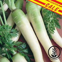 Lunar-White-Carrot-overstock-sale