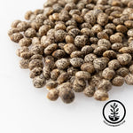 Sweet Lupine Moonshine Seeds