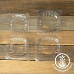 Microgreens Containers - Plastic Microgreens Clamshells Clear Large and Clear Small