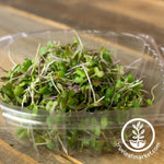 Microgreens Containers - Plastic Microgreens Clamshells Large Clear with Grown Microgreens